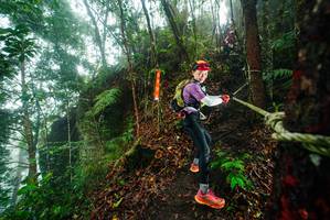 BIB: 
                            <button type="button" onclick="openModal(26231926)" class="btn btn-primary btn-sm float-right btn-popup" data-toggle="modal" data-target=".modal-high-quality">
                        <i class="fas fa-shopping-cart"></i> Add to Cart
                    </button>
                                            <button type="button" onclick="isThisMe(26231926, true)" class="btn btn-success btn-sm float-right btn-popup btn-isme hidden" data-toggle="tooltip" data-placement="bottom" title="นี่คือรูปของคุณใช่ไหม คลิกที่นี่เพื่อเอาเข้าอัลบั้ม">
                        <i class="fas fa-plus"></i> Add to album
                    </button>
                    <button type="button" onclick="isThisMe(26231926, false)" class="btn btn-warning btn-sm float-right btn-popup btn-isnotme hidden">
                        <i class="fas fa-ban"></i> Remove from album
                    </button>